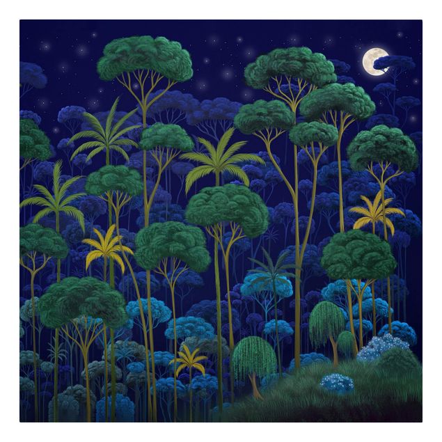 Leinwandbild Kunstdruck Mitternacht im Regenwald