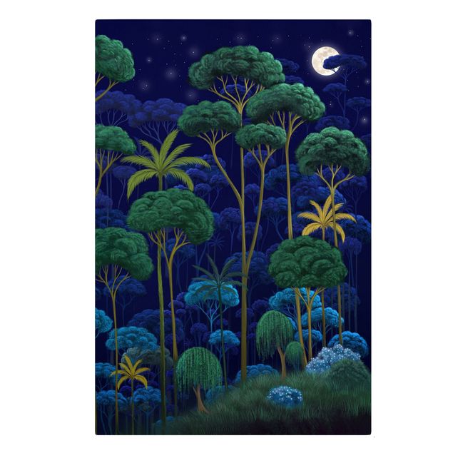 Kunstdrucke auf Leinwand Mitternacht im Regenwald