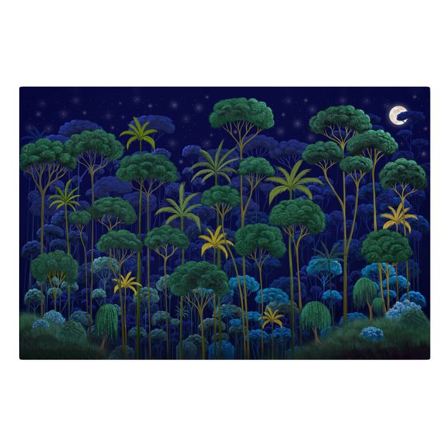 Leinwand Kunstdruck Mitternacht im Regenwald