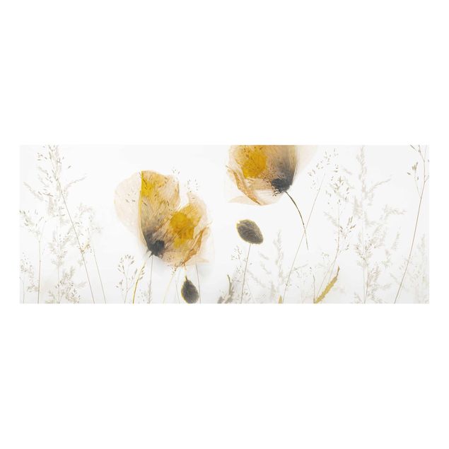 Bilder auf Glas Mohnblumen und zarte Gräser im weichen Nebel