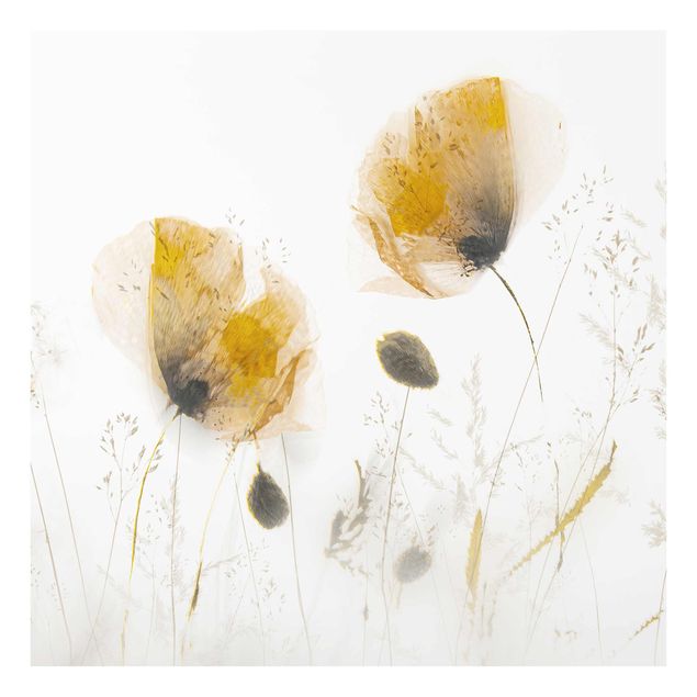 Glas Wandbilder Mohnblumen und zarte Gräser im weichen Nebel