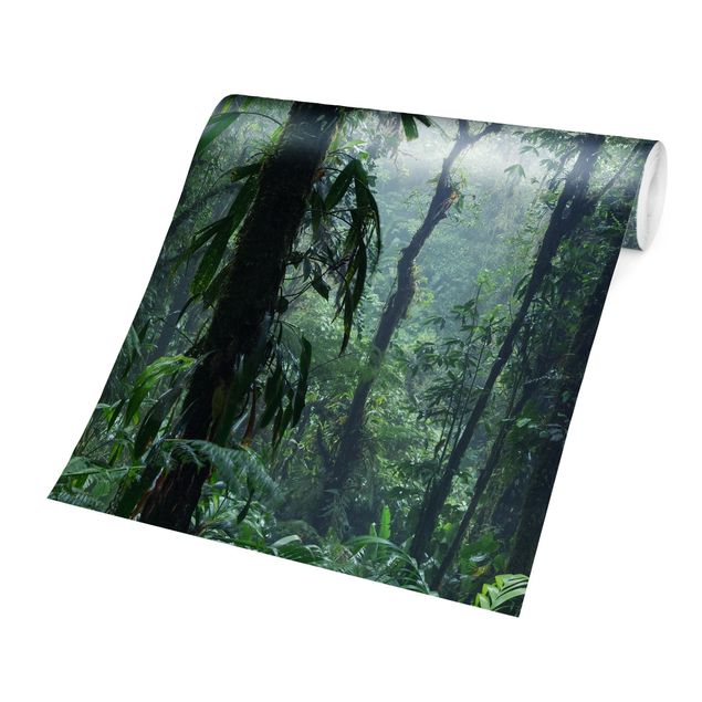 Fototapete grün Monteverde Nebelwald