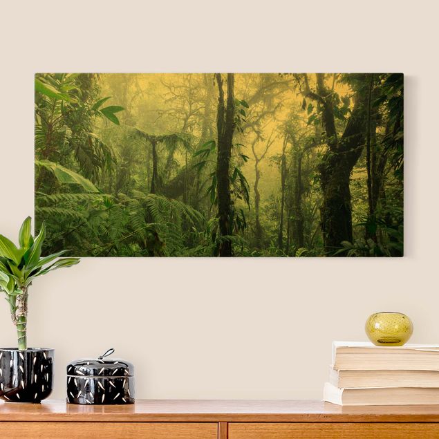 Leinwandbilder Wohnzimmer modern Monteverde Nebelwald