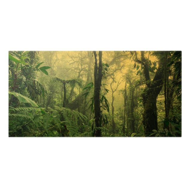 Schöne Wandbilder Monteverde Nebelwald