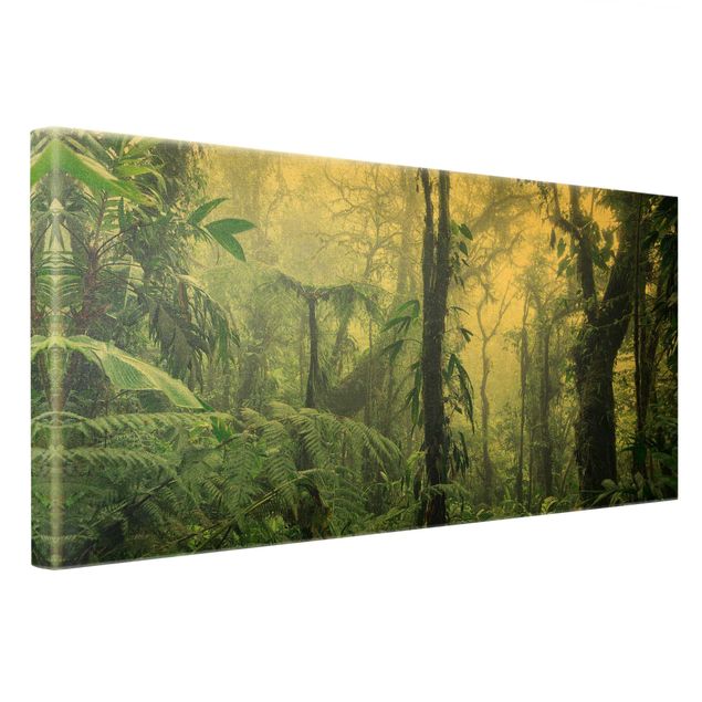 Bilder auf Leinwand Monteverde Nebelwald