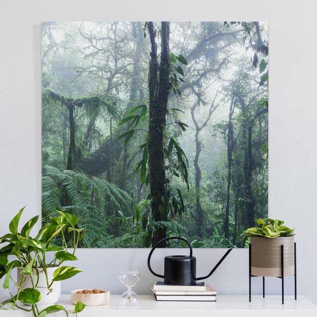Wandbilder XXL Monteverde Nebelwald