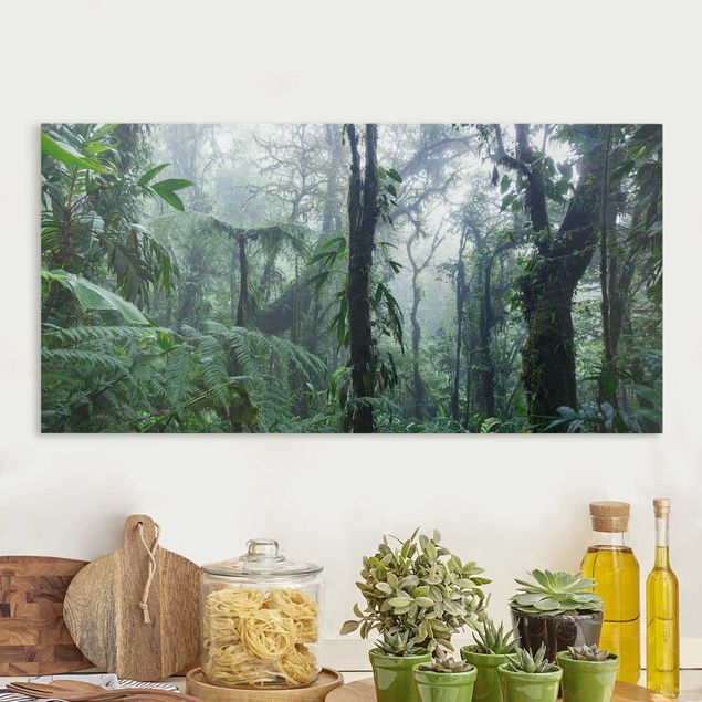 Leinwandbilder XXL Monteverde Nebelwald