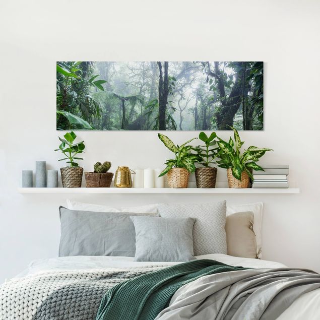 Wandbilder Wald Monteverde Nebelwald