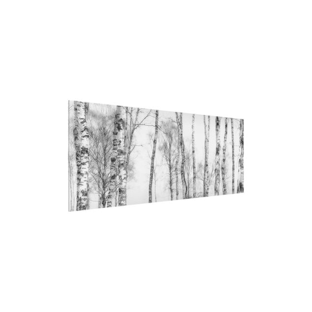 Schöne Wandbilder Mystischer Birkenwald Schwarz-weiß
