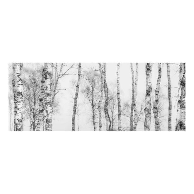 Bilder auf Glas Mystischer Birkenwald Schwarz-weiß