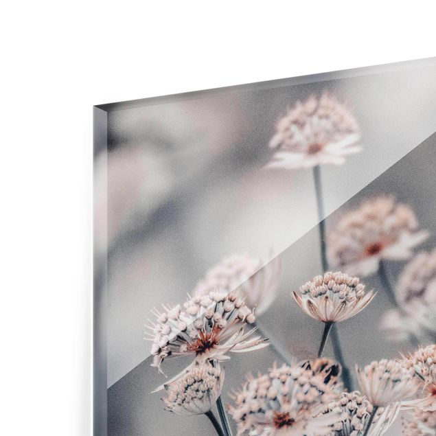 Glasbild - Mystischer Blütenstrauch - Quadrat