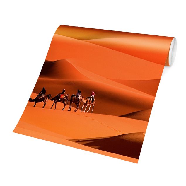 Design Tapete Namib Desert