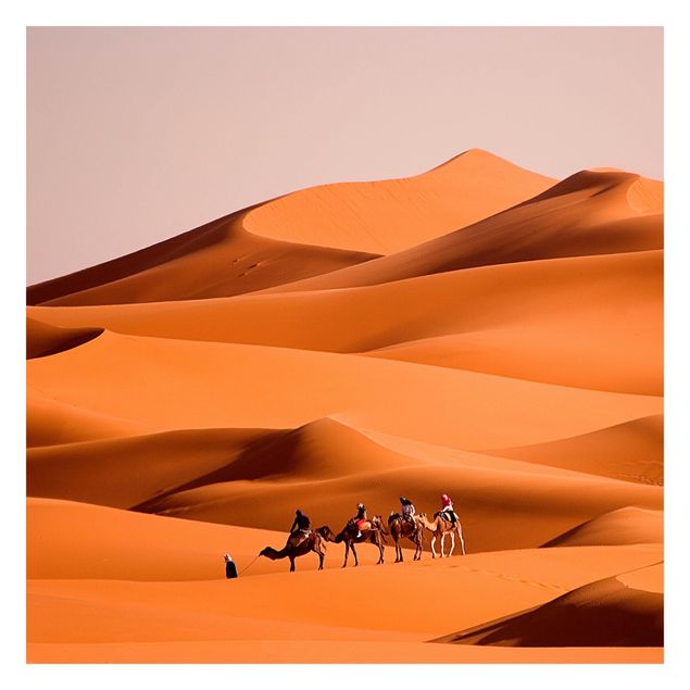 Fototapete Namib Desert