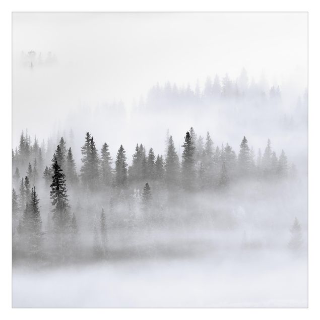 Fototapete weiß Nebel im Tannenwald Schwarz-Weiß