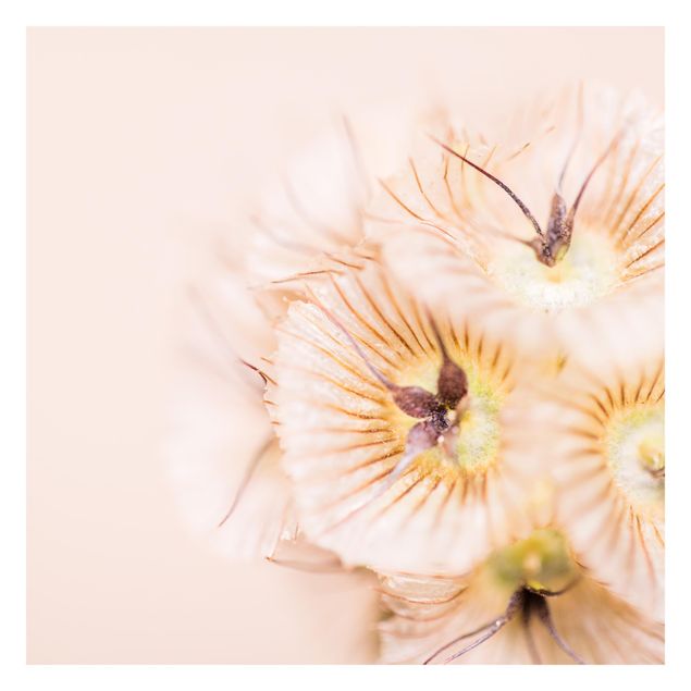Fototapete - Pastellfarbener Blütenstrauß