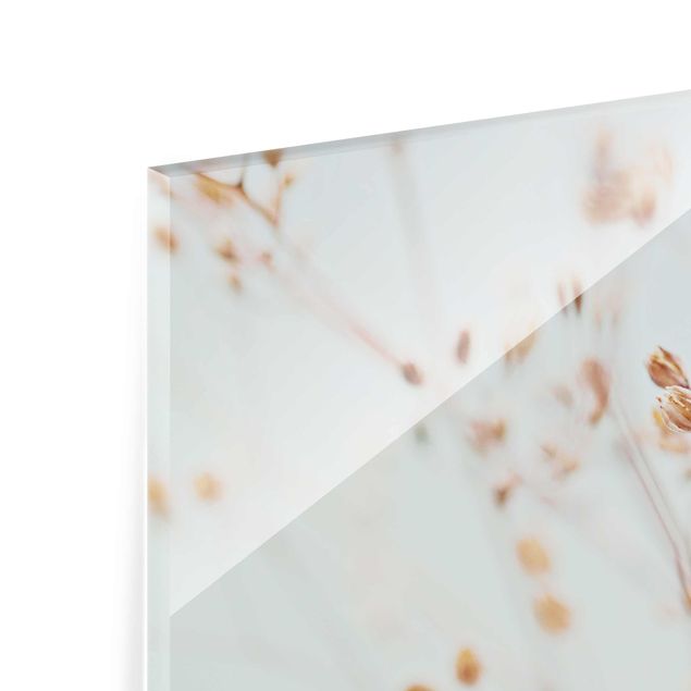 Glasbild - Pastellknospen am Wildblumenzweig - Quadrat