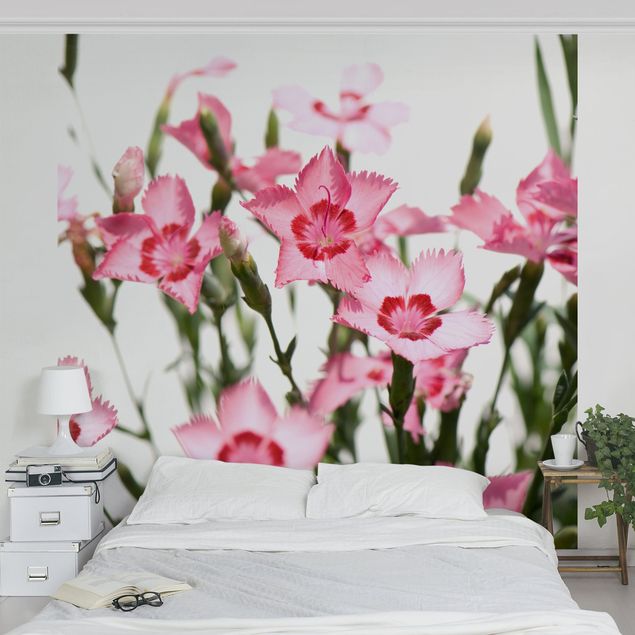 Fototapete Design Pink Flowers