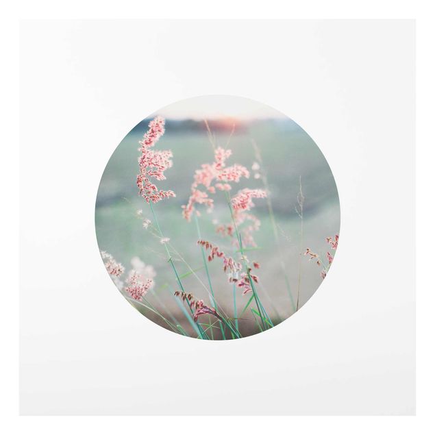 Glasbilder Pinke Blumen im Kreis
