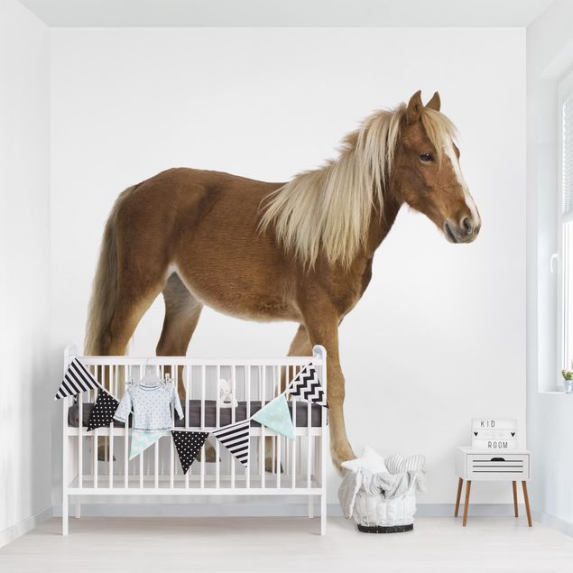 Kinderzimmertapete Tiere Pony