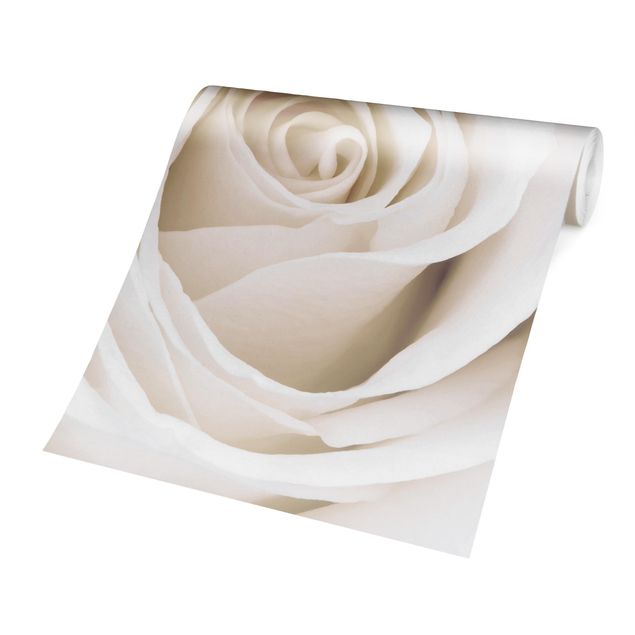 Design Tapete Pretty White Rose
