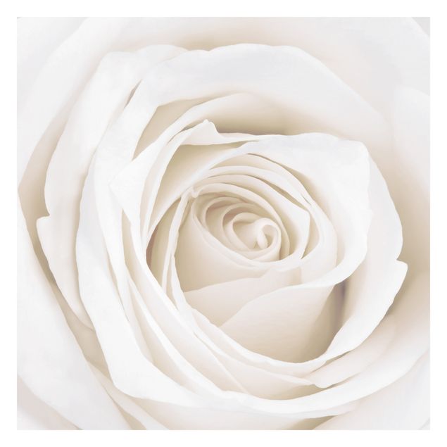 Design Tapete Pretty White Rose