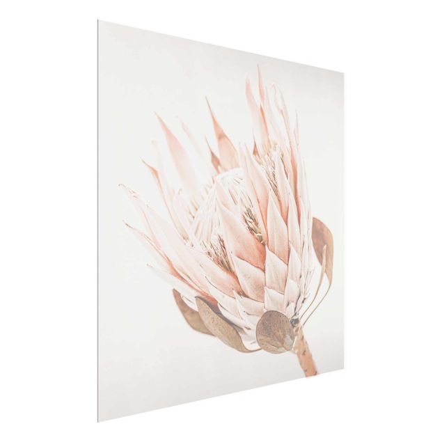Bilder für die Wand Protea Königin der Blüten