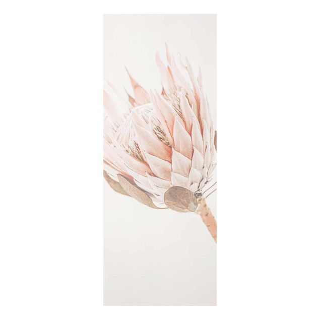 Glas Wandbilder Protea Königin der Blüten