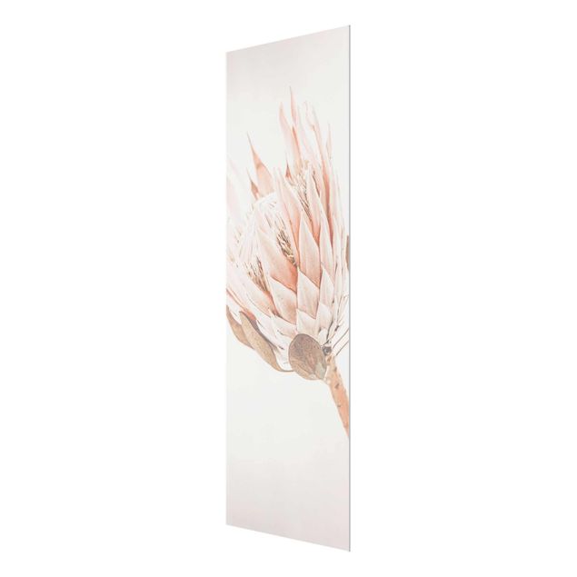Glasbild - Protea Königin der Blüten - Hochformat