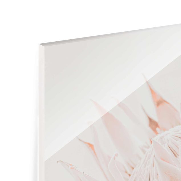 Glasbild - Protea Königin der Blüten - Quadrat