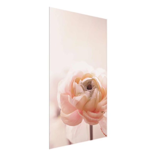 Schöne Wandbilder Rosa Blüte im Fokus