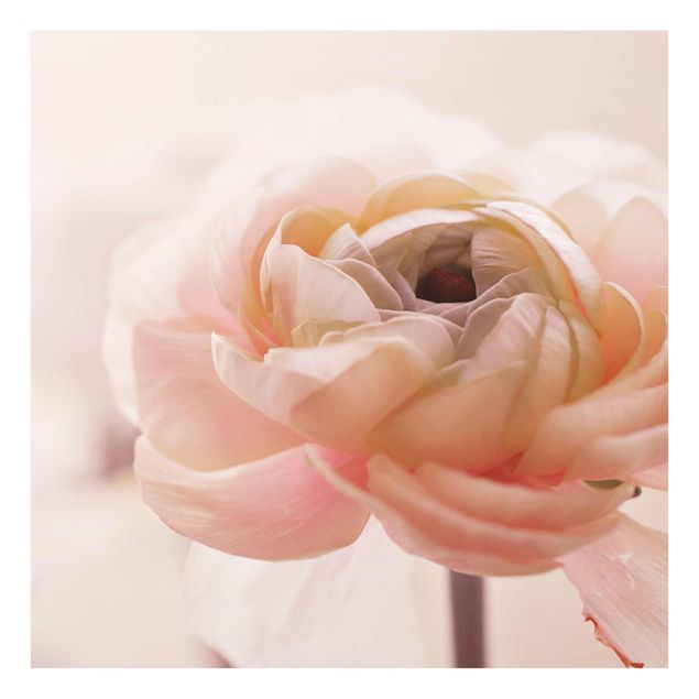 Glasbilder Rosa Blüte im Fokus