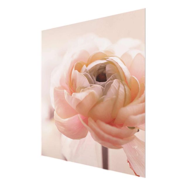 Glasbild - Rosa Blüte im Fokus - Quadrat