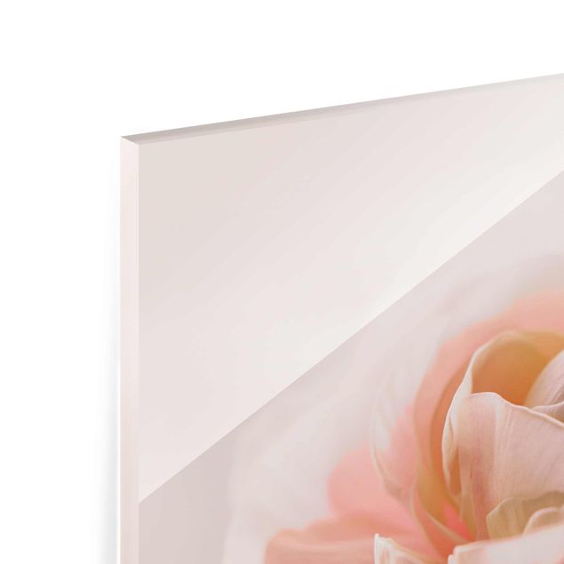Glasbild - Rosa Blüte im Fokus - Quadrat