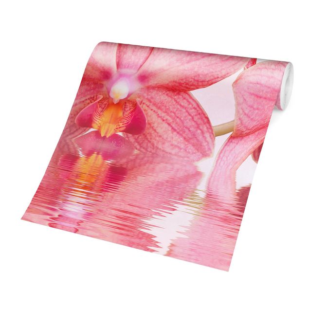 Tapete rosa Rosa Orchideen auf Wasser