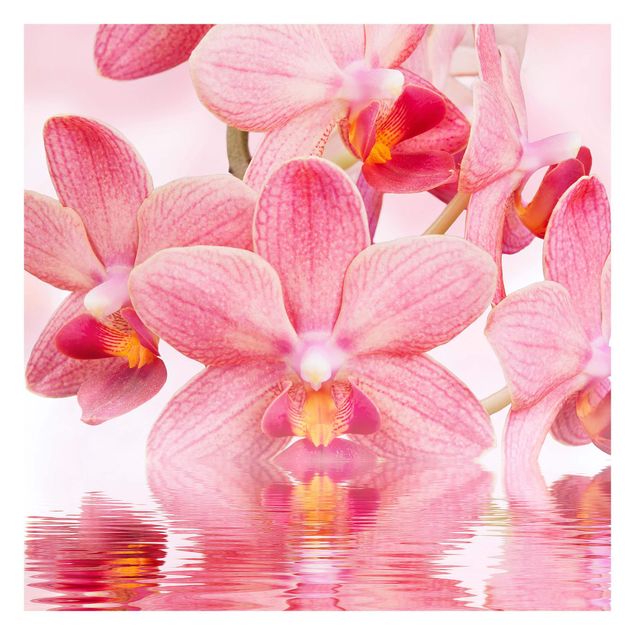Design Tapete Rosa Orchideen auf Wasser