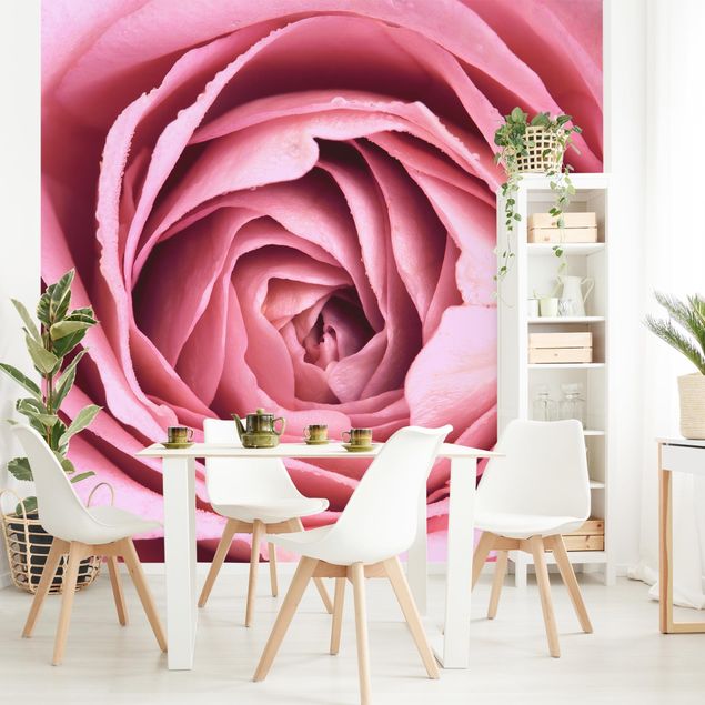 Moderne Tapeten Rosa Rosenblüte