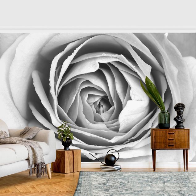 Tapeten Landhausstil Rosa Rosenblüte Schwarz-Weiß