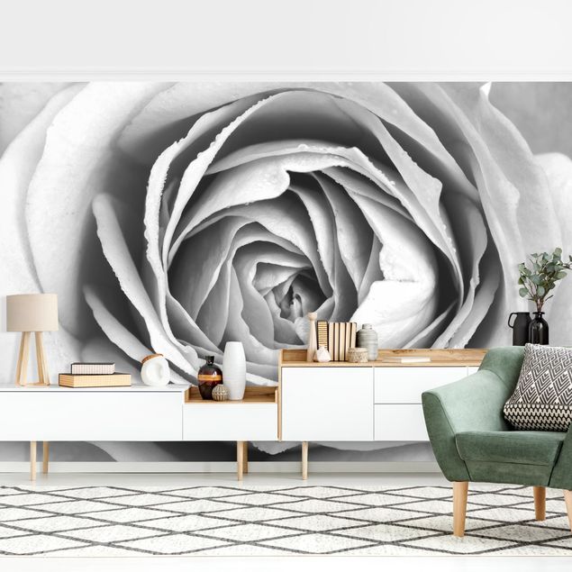 Schwarz-Weiß Tapete Rosa Rosenblüte Schwarz-Weiß