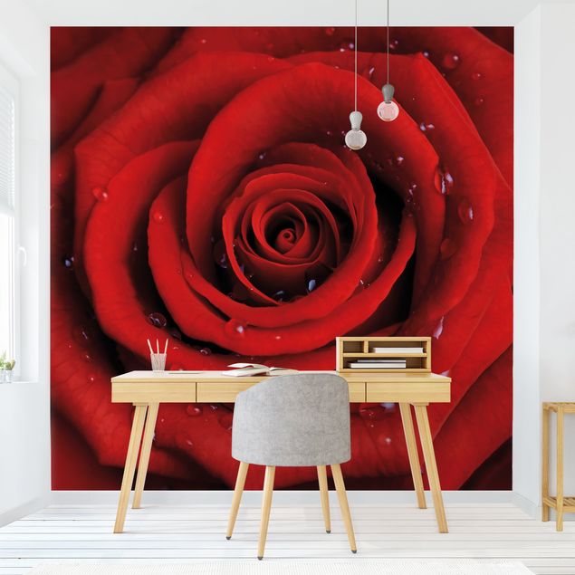 Romantische Schlafzimmer Tapete Rote Rose mit Wassertropfen