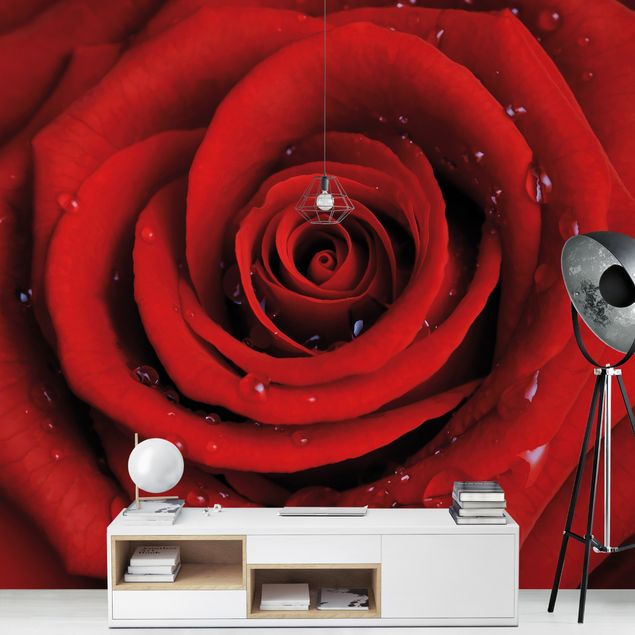 Fototapete Romantik Rote Rose mit Wassertropfen