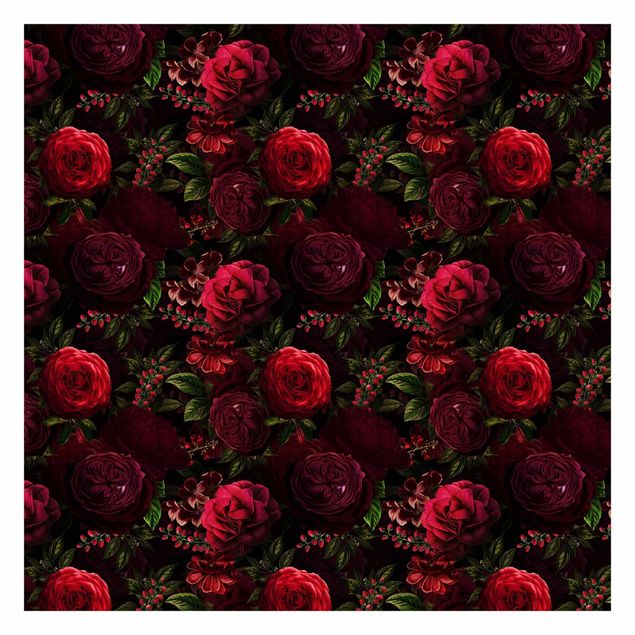 Rote Tapeten Rote Rosen vor Schwarz