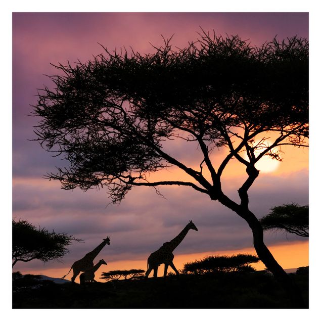 Fototapeten Safari in Afrika