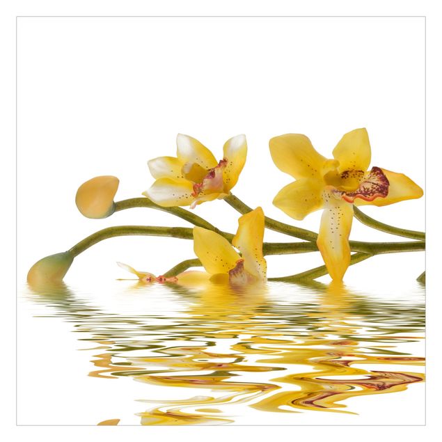 Fototapeten Saffron Orchid Waters