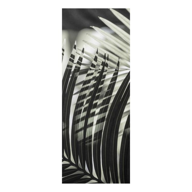 Bilder für die Wand Schattenspiel auf Palmenwedel