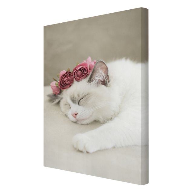 Tierbilder auf Leinwand Schlafende Katze mit Rosen
