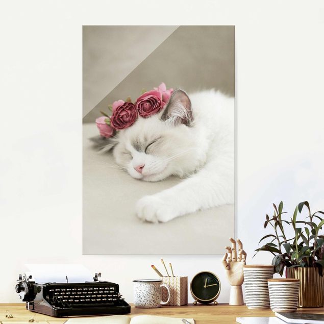 Glasbilder Rose Schlafende Katze mit Rosen