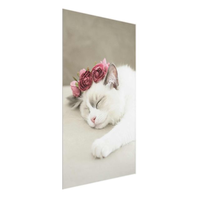 Glasbild Blumen Schlafende Katze mit Rosen