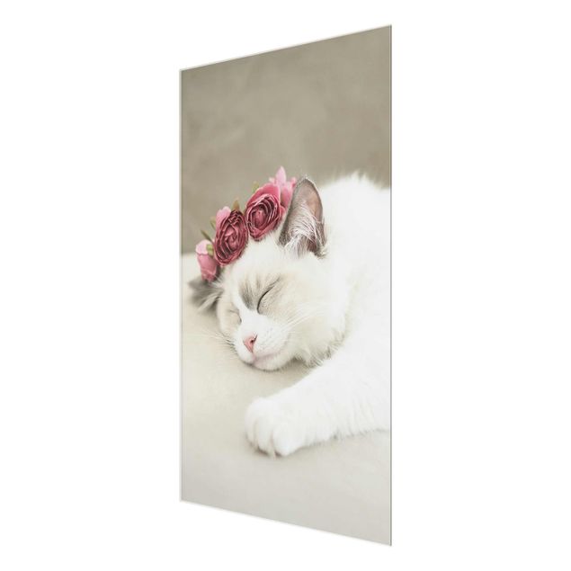 Wandbilder Schlafende Katze mit Rosen