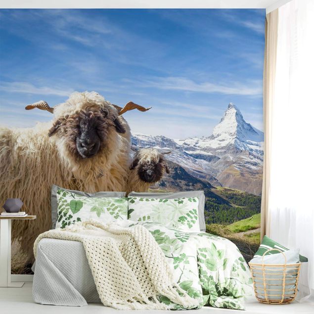 Wandtapete Tiere Schwarznasenschafe von Zermatt