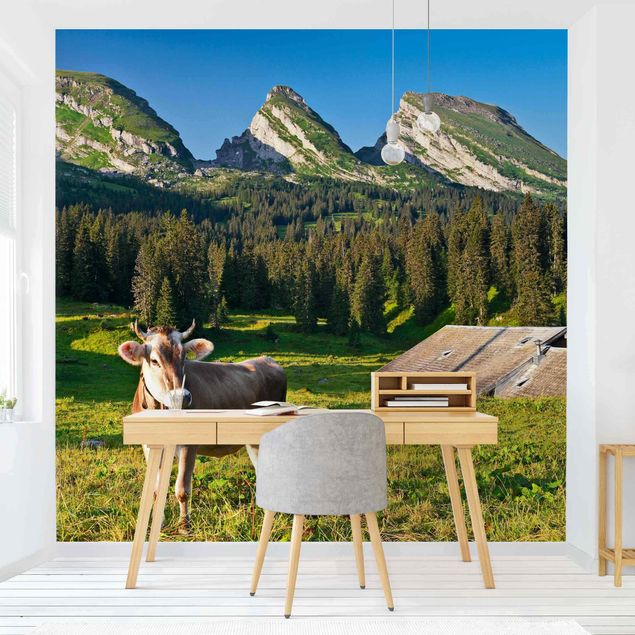 Fototapete modern Schweizer Almwiese mit Kuh
